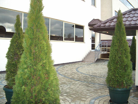 foto_33