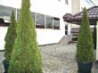 foto_33