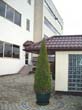 foto_34