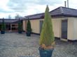 foto_35